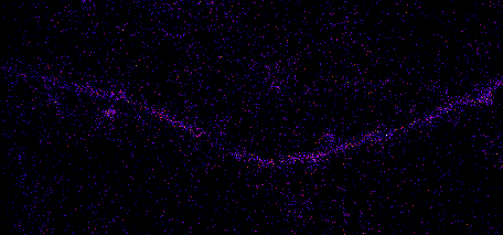 In vivo imaging of dendrite and spines